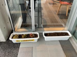 寄せ植えの様子6