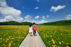 雄国沼湿原の画像