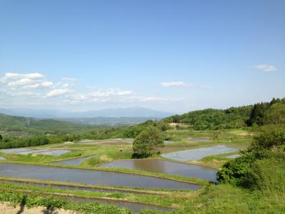 初夏の棚田