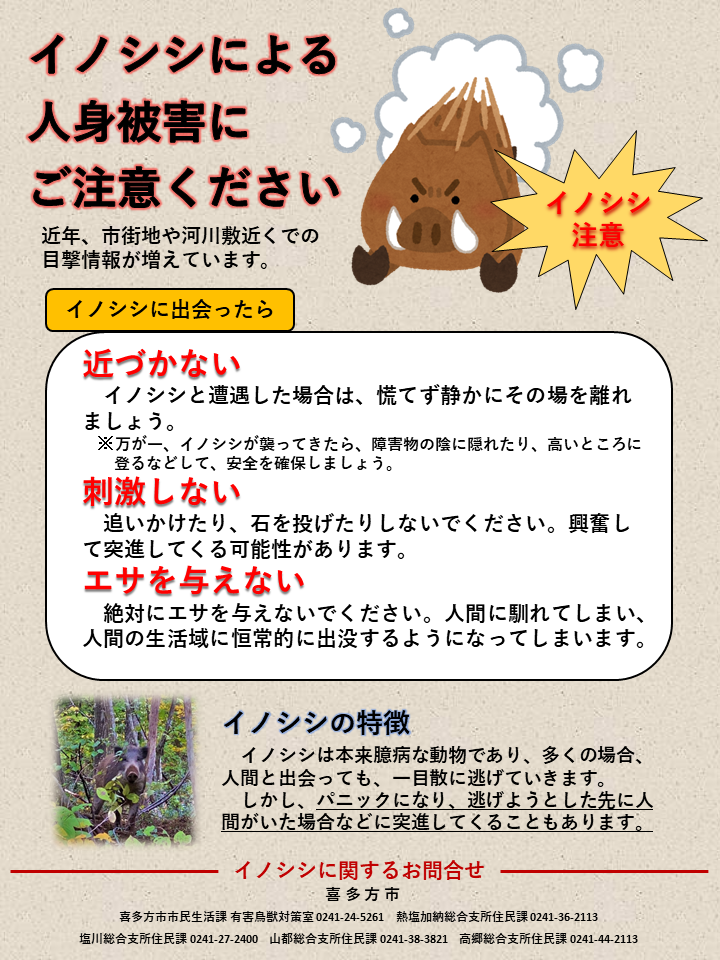 イノシシによる人身被害にご注意ください