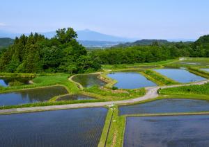 棚田風景写真
