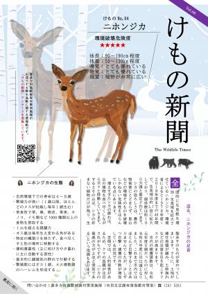 けもの新聞　Vol.06