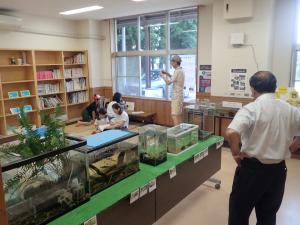 きたかたいきものラボ水槽展示室