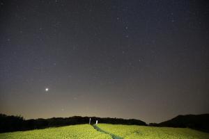 H28　入選　　渡部善二氏　「星あかり」