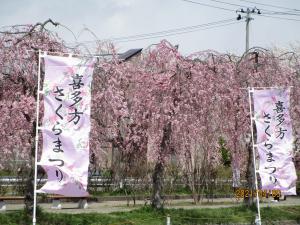 sakura2