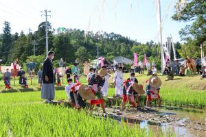 御田植え3