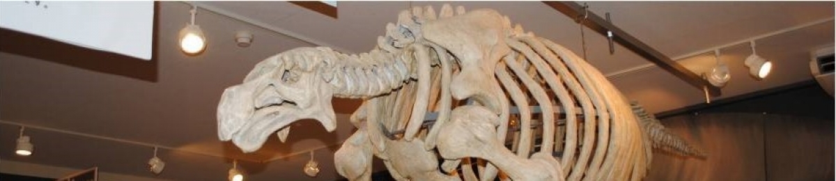 カイギュウランドたかさとのタイトル画像